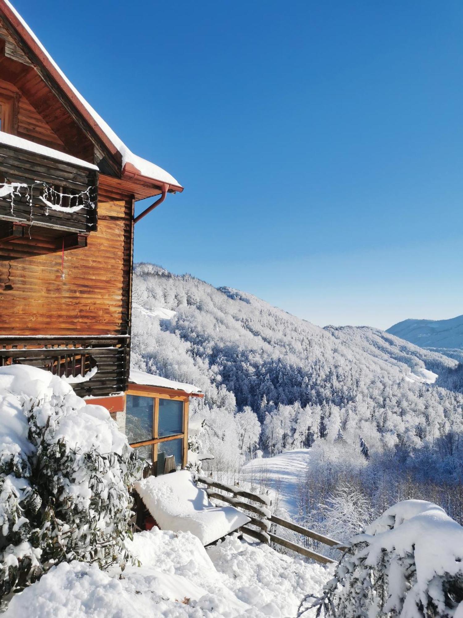 Hiska Sprostitve Villa Vransko Exterior photo